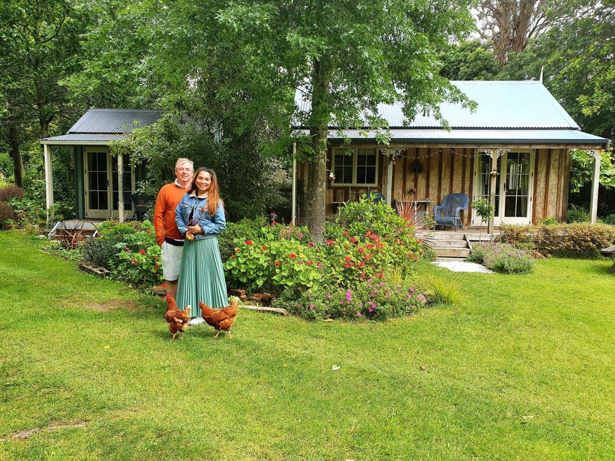 Bumblebee Cottage Greytown Buitenkant foto