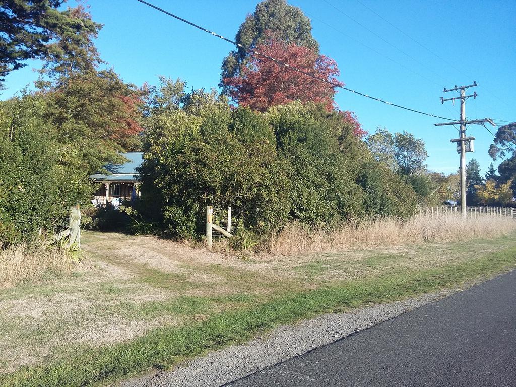 Bumblebee Cottage Greytown Buitenkant foto